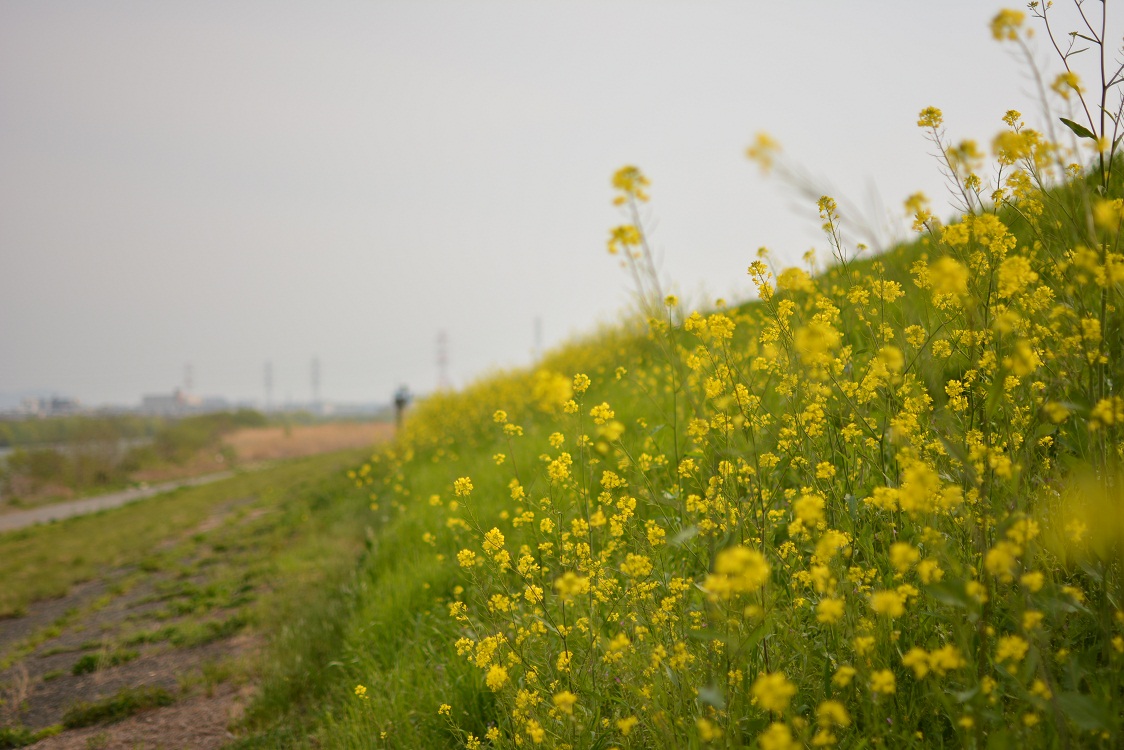 2013041520303977f