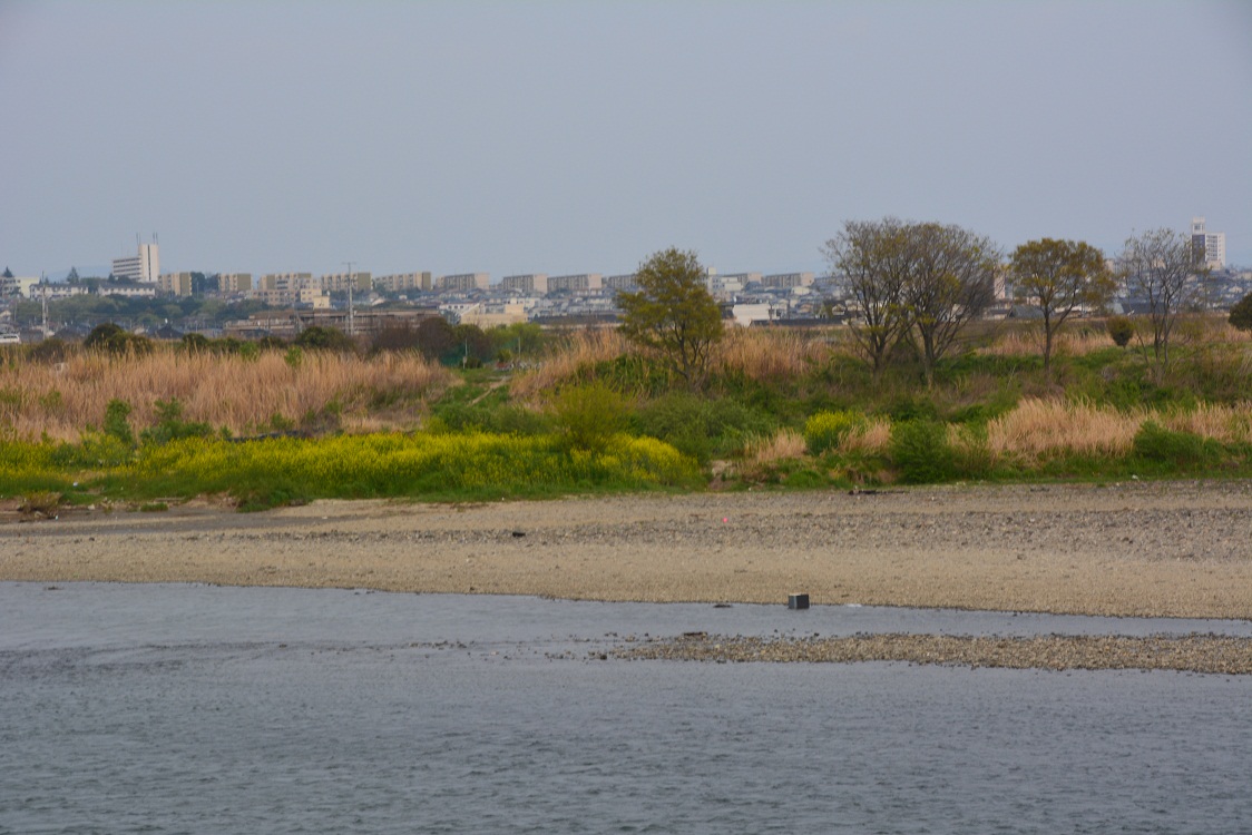 20130415204101ca2