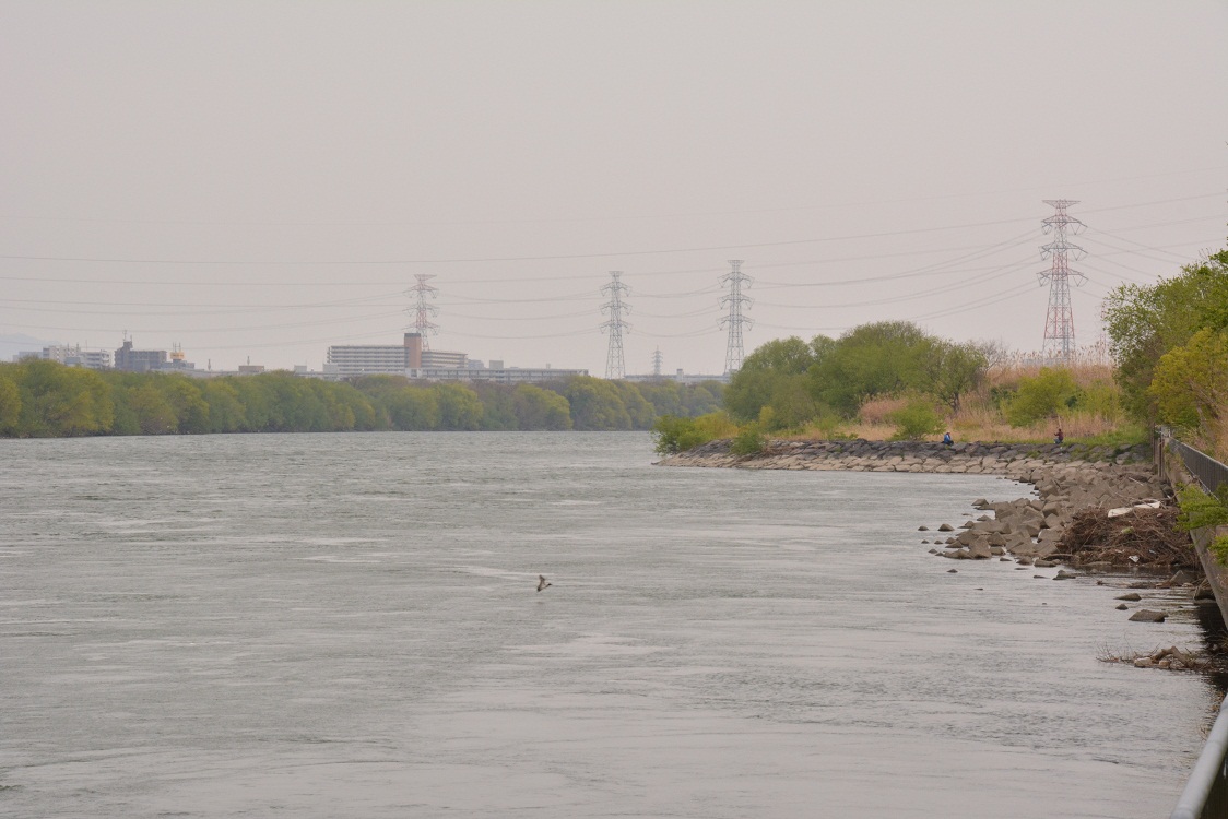 20130415204101d8d