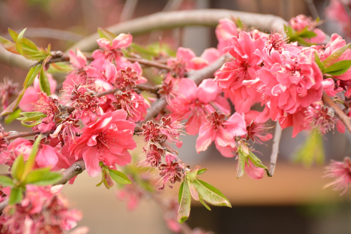 20130415205421f3a