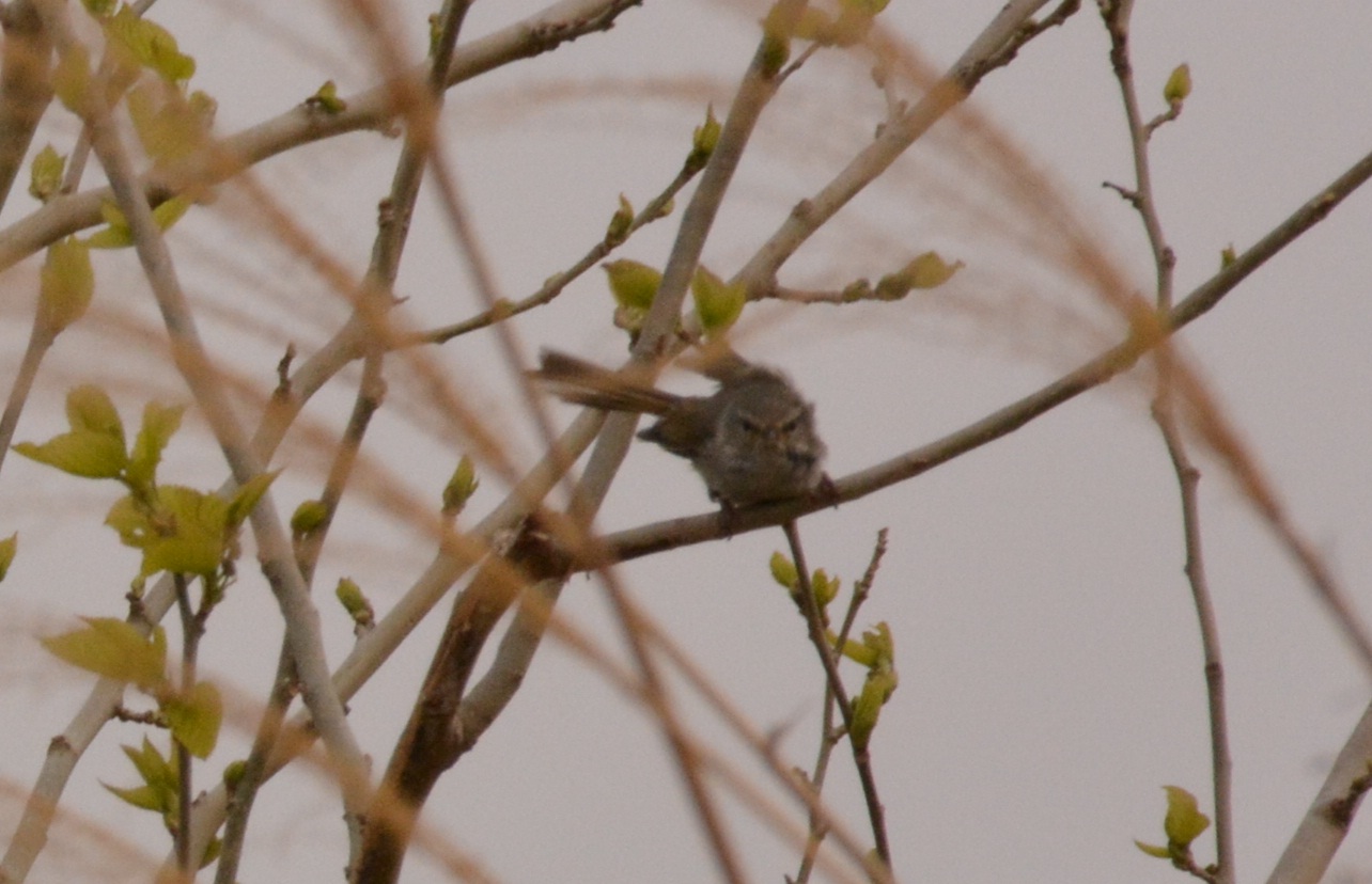 201304152057208f9