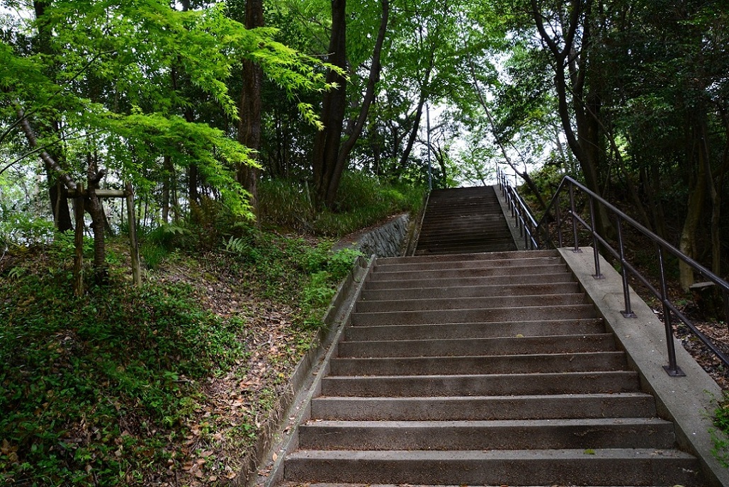 参道への階段
